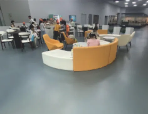 Резиновый пол PURELLA для музеев и театров